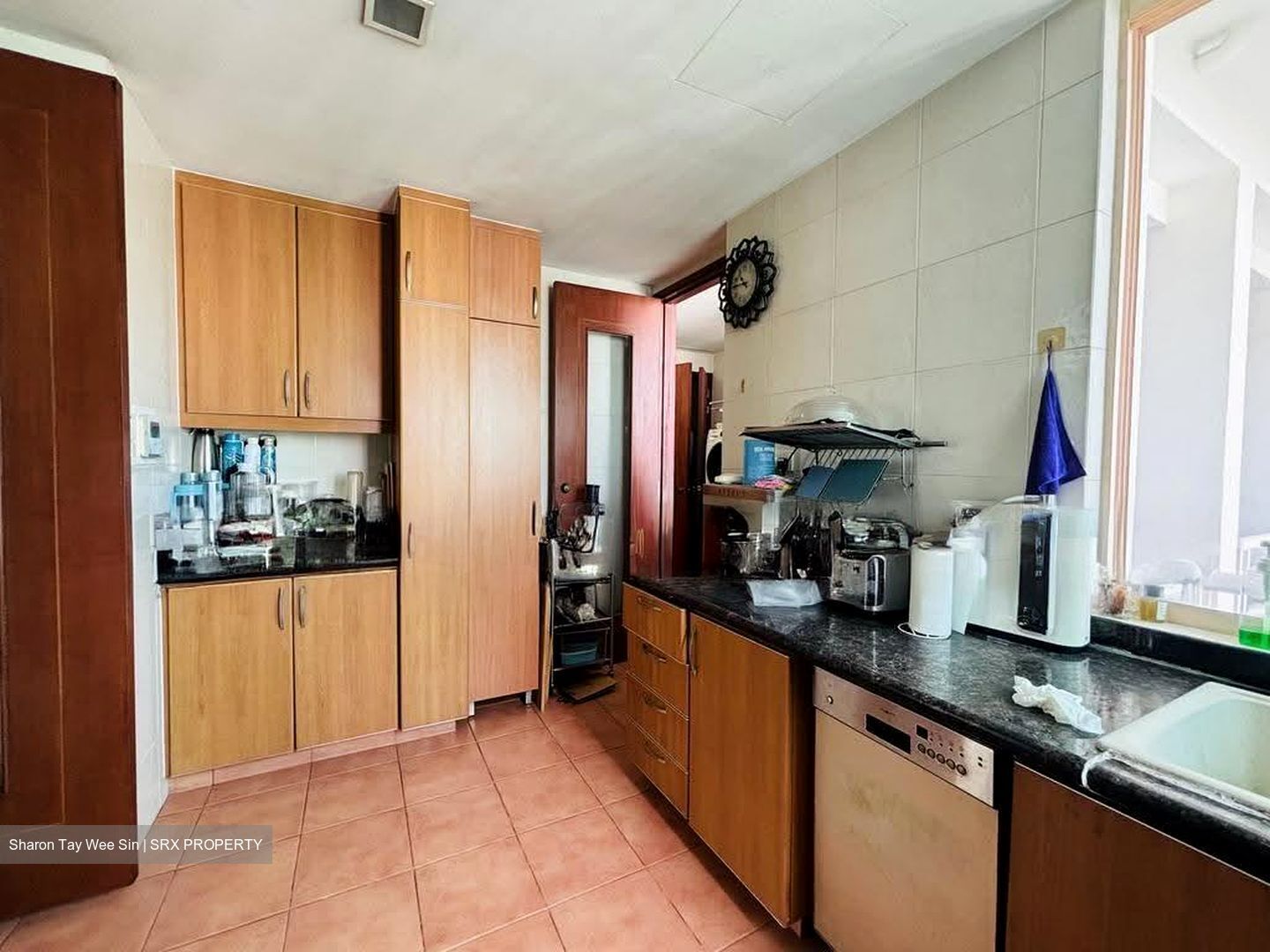 Melrose Park (D10), Condominium #607417391
